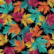 45" fall - Colors of fall black - 1 yd
